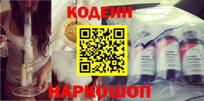 стаф Гатчина