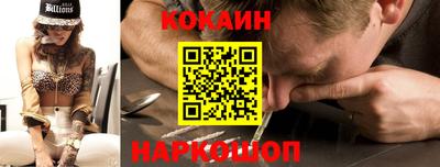 стаф Гатчина