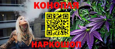 стаф Гатчина