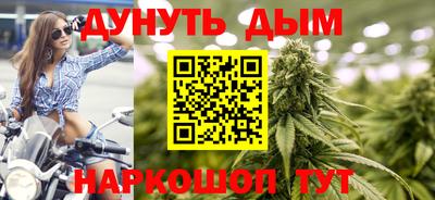 стаф Гатчина