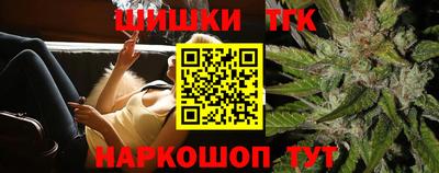 стаф Гатчина