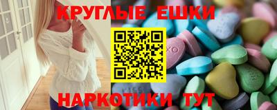 стаф Гатчина