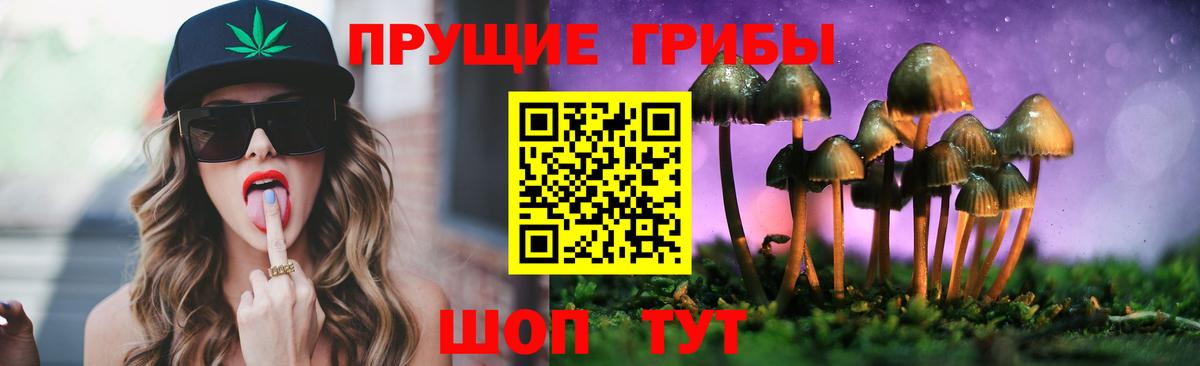 Псилоцибиновые грибы Psilocybine cubensis Кудымкар